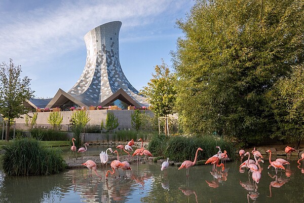 knies kinderzoo zauberhut flamingos bybalzer