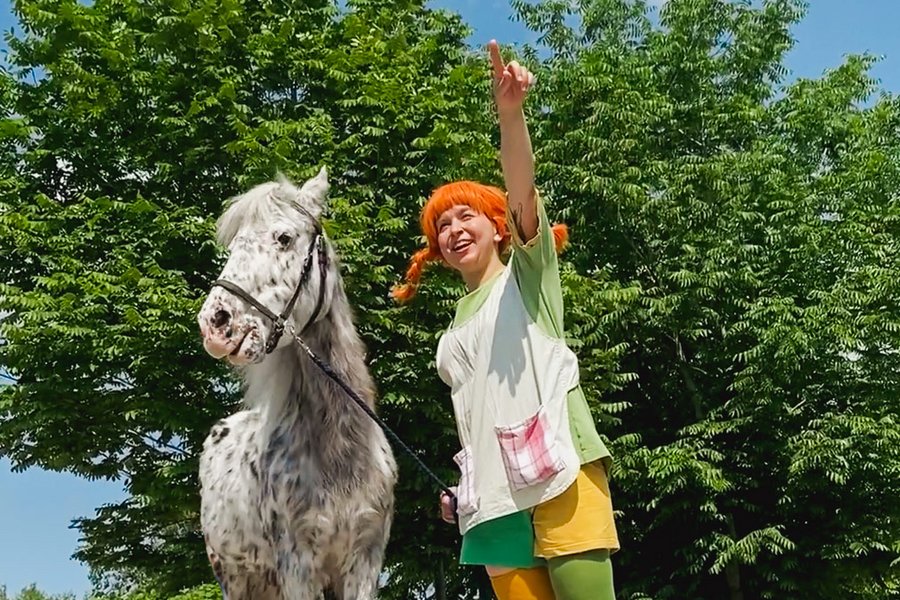 pippi langstrumpf pferd kleiner onkel bybalzer