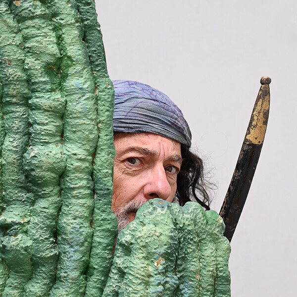 pippi langstrumpf takatukaland seeraeuber kaktus bybalzer