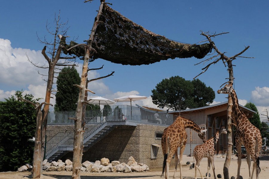 knies kinderzoo zuerich bybalzer