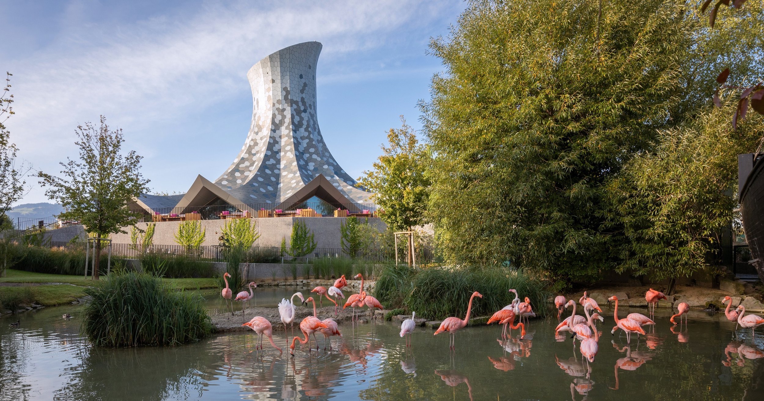 knies kinderzoo zauberhut flamingos bybalzer